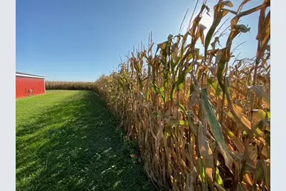 597 Cr 100 E, Riverdale, IL 61851 - Photo 22