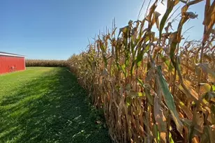 597 Cr 100 E, Riverdale, IL 61851 - Photo 22