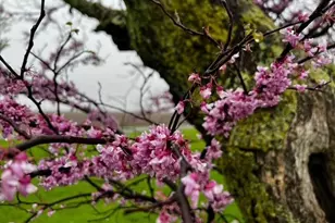 597 Cr 100 E, Riverdale, IL 61851 - Photo 28