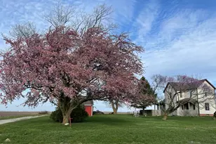 597 Cr 100 E, Riverdale, IL 61851 - Photo 2