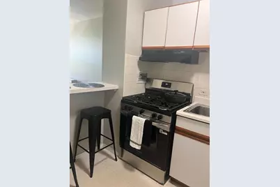 2921 S Michigan Avenue #413, Chicago, IL 60616 - Photo 12