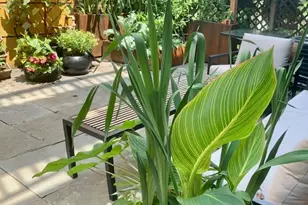 2334 W Medill Ave, Chicago, IL 60647 - Photo 12