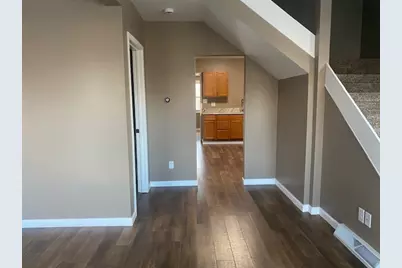 509 W Erie Street, Spring Valley, IL 61362 - Photo 4