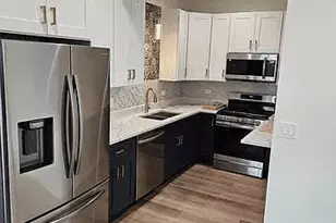 1013 W 18th Pl, Chicago, IL 60608 - Photo 4