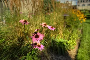 807 Davis St, Evanston, IL 60201 - Photo 22