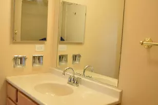 247 Nantucket Harbor, Schaumburg, IL 60193 - Photo 12