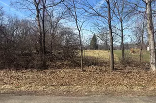 615 Brookside Dr, Varna, IL 61375 - Photo 1