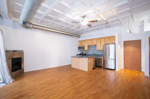 1307 S Wabash Ave, Chicago, IL 60605 - Photo 2