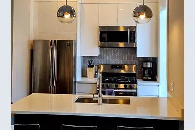 318 S Halsted Street #301, Chicago, IL 60607 - Photo 2