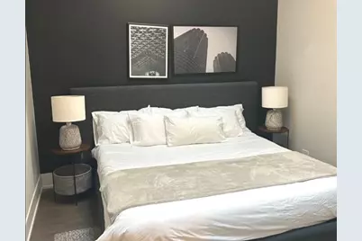 318 S Halsted Street #401, Chicago, IL 60607 - Photo 6