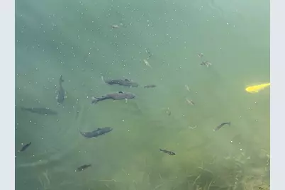 119 Tully Road, Wilmington, IL 60481 - Photo 32