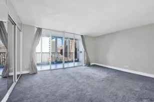 1 E Schiller St, Chicago, IL 60610 - Photo 10
