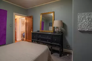 7741 S Chappel Ave, Chicago, IL 60649 - Photo 24