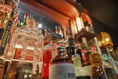 219 Parkview Drive, Bloomington, IL 61701 - Photo 70