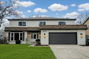 613 Zaininger Ave, Naperville, IL 60563 - Photo 1