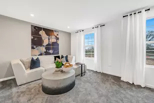 238 Teerling Circle, New Lenox, IL 60451 - Photo 12