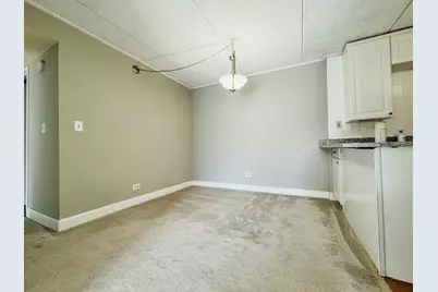 5S070 Pebblewood Lane #F11, Naperville, IL 60563 - Photo 6