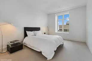 118 E Erie St, Chicago, IL 60611 - Photo 28