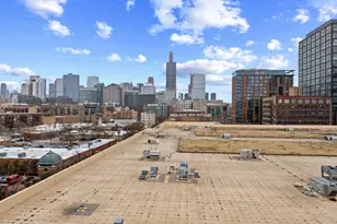 305 S Racine Ave, Chicago, IL 60607 - Photo 28