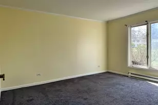 2507 Lincoln Ave, Long Grove, IL 60047 - Photo 10