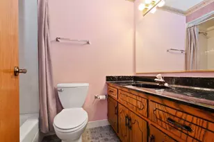 15704 Deerfield Ct, Orland Park, IL 60462 - Photo 16