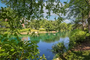 [Address not provided], Northfield, IL 60093 - Photo 18
