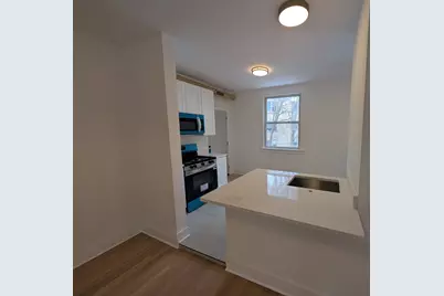 1522 W Ardmore Avenue #1E, Chicago, IL 60660 - Photo 8