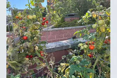 [Address not provided], Chicago, IL 60657 - Photo 36