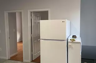 2953 S Emerald Ave, Chicago, IL 60616 - Photo 4