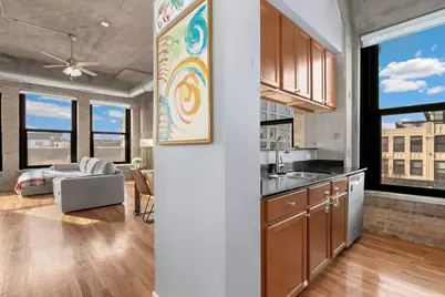 1151 W 15th Street #340, Chicago, IL 60608 - Photo 14