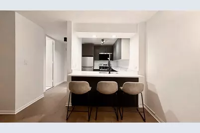 233 E Erie Street #1703, Chicago, IL 60611 - Photo 4