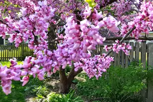 4 Athens Ct, Vernon Hills, IL 60061 - Photo 32