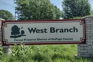 1803 Rizzi Ln, Bartlett, IL 60103 - Photo 38