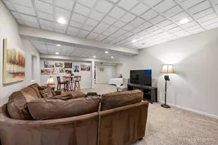 700 Juniper Ln, Lake in the Hills, IL 60156 - Photo 24