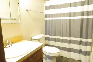 216 Madison St, Joliet, IL 60435 - Photo 10