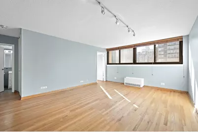 30 E Division Street #14C, Chicago, IL 60610 - Photo 6