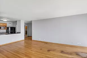 525 W Hawthorne Pl, Chicago, IL 60657 - Photo 8