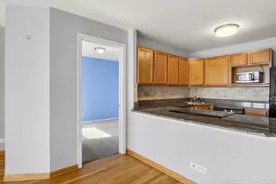525 W Hawthorne Place #1001, Chicago, IL 60657 - Photo 12