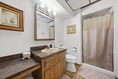 24346 S Timberline Trail, Crete, IL 60417 - Photo 24