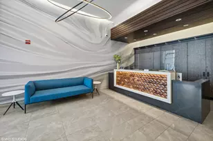 303 W Ohio St, Chicago, IL 60654 - Photo 12