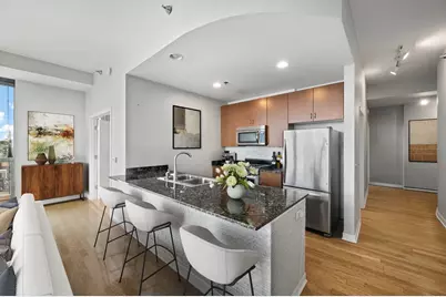 303 W Ohio Street #3702, Chicago, IL 60654 - Photo 4