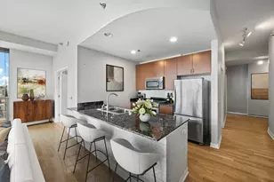 303 W Ohio St, Chicago, IL 60654 - Photo 4