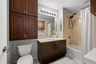 303 W Ohio St, Chicago, IL 60654 - Photo 8