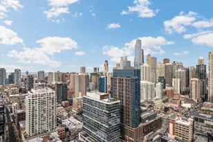 303 W Ohio St, Chicago, IL 60654 - Photo 10