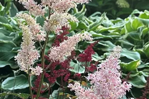 1740 Idlewild Ln, Homewood, IL 60430 - Photo 34