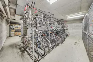 1235 S Prairie Ave, Chicago, IL 60605 - Photo 50