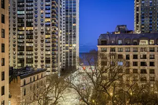 1260 N Astor St, Chicago, IL 60610 - Photo 10