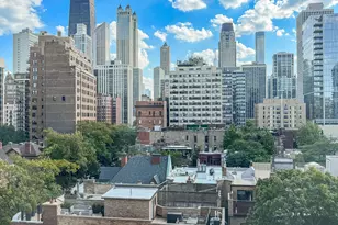 1260 N Astor St, Chicago, IL 60610 - Photo 32