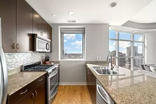 303 W Ohio St, Chicago, IL 60654 - Photo 4