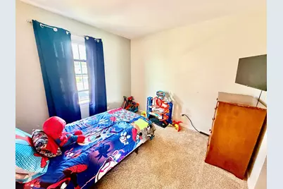 20051 S Spruce Drive, Frankfort, IL 60423 - Photo 20